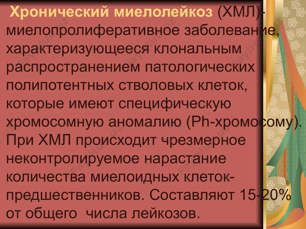 ъёма гемопоэтической ткани с уменьшением жировой ткани. гемопоэтическая ткань состоит из элементов трёх ростков миелопоэза: гранулоцитарного, мегакариоцитарного и эритроидного, с преобладанием элементов эритроидного ростка. 23 эритробластоз лечение эритремии. эритроцитоферез цитостатики: гидроксимочевина 0,5-1 г 2-3 раза в неделю миелосан2 мг 2-3 раза в неделю имифос50 мг в/в ч/д 10-15 инъекций интерферон альфа 1-3 млн ме 2-3 раза в неделю в/м или в/в дезагреганты: курантил, аспирин, трентал. хронический лимфолейкоз (хлл) – злокачественное опухолевое заболевание лимфатической ткани с обязательным поражением костного мозга, при котором субстрат опухоли представлен зрелыми лимфоцитами. клиническое течение хлл. с преобладающим поражением костного мозга. с преобладающим поражением лимфатических узлов с преобладающим поражением селезенки выраженными аутоиммунными осложнениями (анемия, тромбоцитопения). клиника хлл. в начальных стадиях беспокоит слабость, потливость, похудание, повышение температуры в дальнейшем присоединяется желтухи, геморрагического синдрома, связанные с развитием гемолитической анемии и тромбоцитопении объективно: кожа и видимые слизистые бледные, увеличение лимфоузлов (шейные, подчелюстные, подмышечные, паховые). лимфоузлы мягкие, тестоватой консистенции, расположены симметрично. …