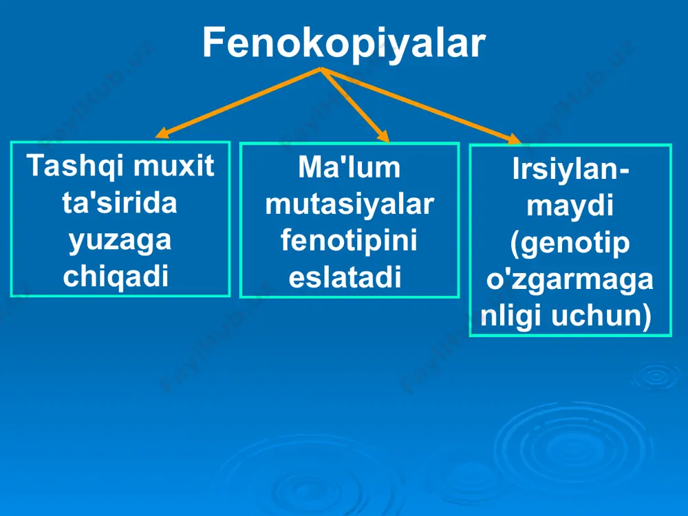 o’zgaruvchanlik. uning xillari va tibbiyotdagi roli. - Page 4