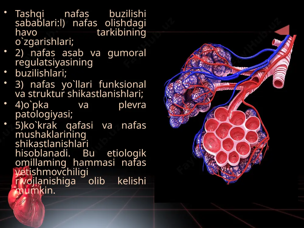 a, xususan, giperkriniya - balg'amning viskozitesini 2-3 baravar oshirish, bu bronxlarning tiqilib qolishiga olib keladi. alveolar obstruktiv gipoventilyatsiya gipoventilatsiya o‘pka yallig‘lanishi kasalliklari, atelektaz, o‘pka qisilishi, nafas mushaklarining shikastlanishi, umurtqa suyagining qiyshayishi, morfin bilan zaharlanish, shokning torpid fazasida uchraydi. u arterial qonda 02 kamayishiga (gipoksemiya),co2miqdorining ko‘payishiga (giperkapniya) va ph kamayishiga, ya’ni atsidozga olib keladi. cheklovchi tip (cheklov) o'pkaning ekskursiyasi cheklangan va ularning nafas olish yuzasi pasayganda kuzatiladi. bu tip interstitsial pnevmoniya, o'pka emfizemasi, fibroz, pnevmotoraks, o'pka abstsessi, o'pka rezeksiyasi, alveolyar kollapsda uchraydi. bu sabablarning barchasi gipoventiliyaga, gipoksiyaga va ishlaydigan alveolalar sonining kamayishiga olib keladi. alveolyar giperventilyatsiya giperventilyatsiya markaziy asab tizimi kasalliklarida, miya qon ketishida, tog' va balandlik kasalliklarida nafas olish markazining qo'zg'alish oqibati bo'lishi mumkin. kompensatsion reaktsiya sifatida giperventiliya o'pkaning nafas olish yuzasi pasayganda, masalan, pnevmoniya, o'pka shishi bilan sodir bo'ladi. uzoq muddatli giperventiliya gipokapniyaga (karbonat angidrid gazining qisman bosimining 40 mm hg dan past bo'lishiga) olib keladi, bu nafas olish …
