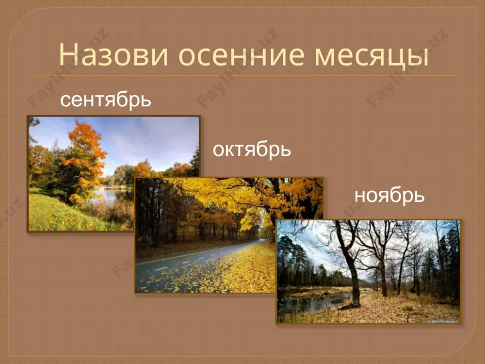 урок ознакомления с окружающим миром - Page 5