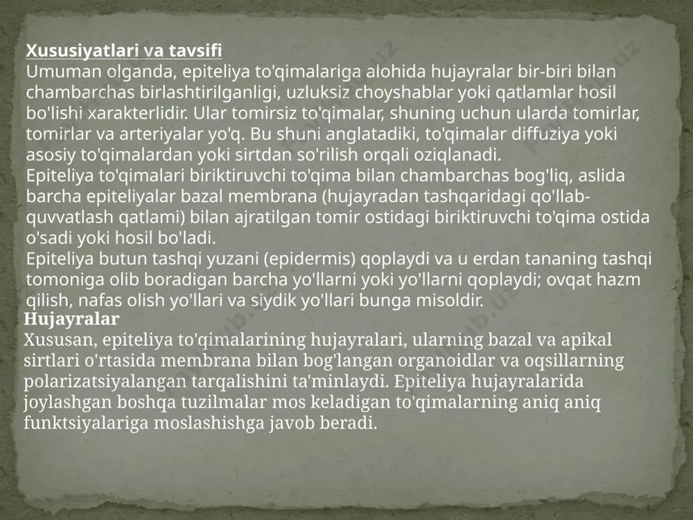 adi. sensor funktsiyalari epiteliya to'qimasi teginish, issiqlik, sovuq yoki kimyoviy ma'lumotlarni idrok etishga qodir bo'lgan sensor funktsiyalarini bajarishga qodir (masalan, lazzatlarni og'izning ta'mli kurtaklari orqali sezish). turlari ko'pgina tadqiqotchilar va mavjud bibliografiya ma'lumotlariga ko'ra, epiteliya to'qimalarining turlari ikkita katta guruhga bo'linadi: qoplama (mavjud bo'lgan qatlamlar soniga qarab uch turga bo'linadi) va bezlar ( sekretsiya mahsuloti): -qatlamoq epiteliyasi ular ular taqdim etgan qatlamlar soni va ularni tashkil etadigan hujayralar turiga qarab (xususiyatlari va tavsifiga qarang): oddiy ushbu epiteliya hujayralarning bir qatlamidan iborat. epiteliya yassi hujayralardan tashkil topganida, uni oddiy yassi epiteliy deyiladi. agar buning o'rniga u kubik yoki ustunli hujayralarni taqdim etsa, u hujayra turiga qarab kubikli yoki oddiy ustunli epiteliy deb ataladi. ular tananing so'rilishi va ajralishi bo'lgan joylarda joylashgan. image3.jpeg image4.jpeg image5.jpeg /docprops/thumbnail.jpeg