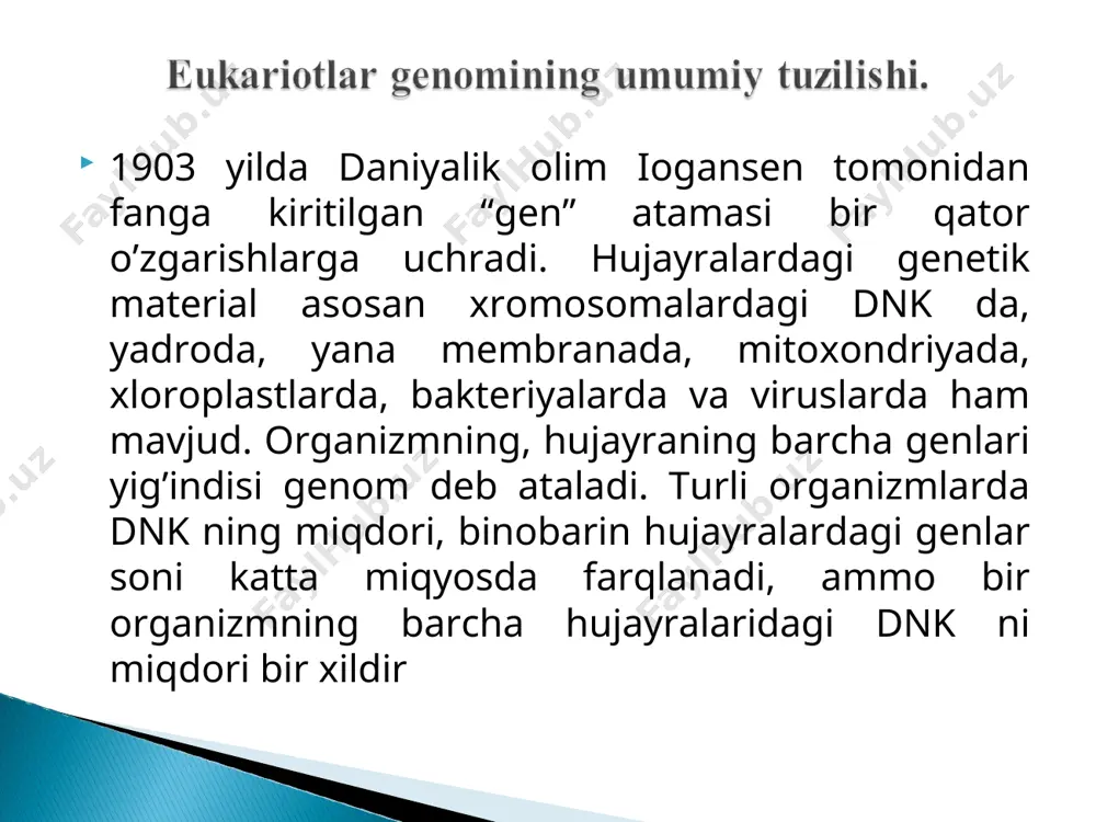 a) * 3,800,000 * *paramecium caudatum (infuzoriya) * 8,600,000 * *allium cepa (piyoz) * 18,000,000 * *lilium formosanum (liliya) * 36,000,000 * *pinus resinosa (qayin) * 68,000,000 * *amphiuma means (triton) * 84,000,000 * *ophioglossum petiolatum (paporotnik)* 160,000,000 *amoeba proteus (amyoba) * 290,000,000 * *amoeba dubia (amyoba) * 670,000,000 agar bakteriya genining o’rtacha o’lchami 1500 nj dan iborat bo’lsa va e.coli va b.subtilis ning xromosomalarining halqali dnk molekulasining uzunligi 1mm bo’lsa, bunday xromosomada 3 mingga yaqin genlar joylashadi. odamda taxminan 50 mingga yaqin genlar mavjud (faqatgina kodlanuvchi dnk – ekzon uchastkalar nazarda tutilmoqda). odam genomining o’lchami esa 3*109 (uch milliard) nj ni tashkil etadi. bu shundan dalolat beradiki, genomning kodlanuvchi qismi butun dnk ning 15-20% ini tashkil etadi. genomining o’lchami odam genomiga nisbatan bir necha barobar ko’proq bo’lgan eukariot organizmlari ham mavjud. (2-jadvalga qarang). 300-1200 qo’sh asoslarni tutuvchi palindromlar faqat eukariotlar dnk sida topilgan. tinch holatdagi eukariotik hujayrada xromosoma materiali …