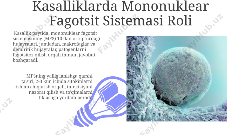 di. mononuklear fagotsitlar sistemasining tarkibiga 3 ta asosiy hujayra turi kiradi: makrofaglar, dendritik hujayralar va monotsitlar, ularning har biri immun javobning turli bosqichlarida muhim rol o'ynaydi. e'tiboringiz uchun rahmat @taqdimot_robot image4.jpg image5.jpg image6.jpg image7.jpg image8.jpg image9.jpg image10.jpg image11.jpg image12.jpg image1.jpeg image2.jpeg image3.jpeg