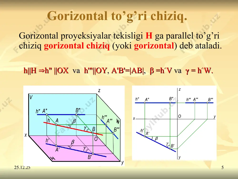 to‘g’ri chiziq - Page 5