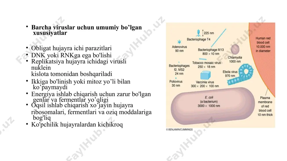 ranglarda bo‘ladi. ularning hujayrasida karotinoidlar va fikoblinlar bo‘lib, miqdorining turlicha bo‘lishi ularga har xil rang beradi. pigmentlar lamellalar shaklida hujayralarning chetlarida, xromatoforlarda joylashgan. xromatoforasida yashil rangli xlorofill, ko‘k rangli fikotsian, ba’zilarida karotin va fikoeritrin uchraydi. fotosintez protsessida ko‘pchiligida glikogen hosil bo‘ladi. sianobakteriyalar: sianobakteriyalar: sianobakteriyalar tuproqlarda keng tarqalgan bo‘lib, 1g tuproqda 20000-50000 gacha uchraydi, hattoki, cho‘l tuproqlarida ham uchraydi. ayrimlari tog‘larda lishayniklar bilan simbioz holda yashaydi. bularni ko‘pchiligi atmosfera azotini o‘zlashtiradi va tuproqning unumdorligini oshiradi. diatom suvo’tlar: ular bir hujayrali, hujayra devorlarida kremniy bor, ular biri katta va ikkinchisi kichik qopqoqlardan iborat bo‘lib, biri ikkinchisining ichiga kirib turadi, hujayralari sirpanib harakatlanadi, ularning harakatini maxsus joyidan ajralib chiqqan protoplazma ta’minlaydi. aktinomisetlar: aktinomitsetlar yoki nursimon (nurli) zamburug‘lar tuzilishi jihatidan bakteriyalar va tuban zamburug‘larga o‘xshaydi (6, 7- rasmlar). ular mog‘or zamburug‘lar bilan bakteriyalar orasidagi guruhga mansub, ma’lum shakldagi yadrosi bo‘lmaydi. bu guruh grammusbat bakteriyalardir. aktinomitsetlar gifalarining uzunligi 600 mkm, eni 0,5–2 mkm va undan …