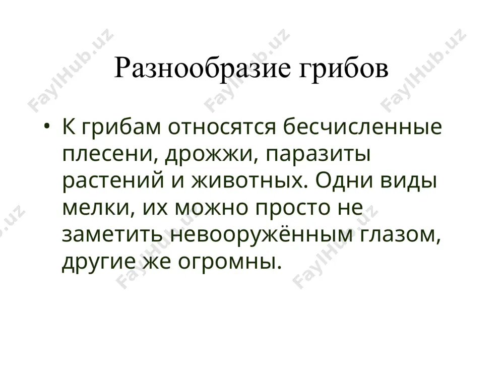 грибы - Page 4