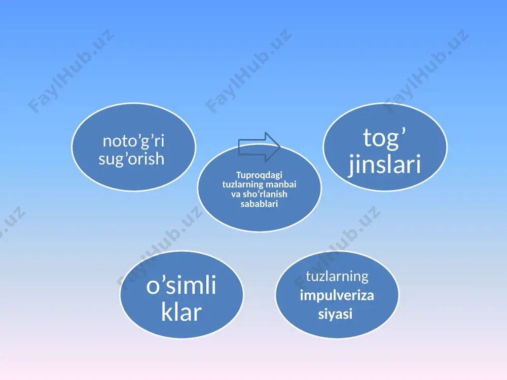 tuzlar va ularning o‘simliklarga ta’siri - Page 4