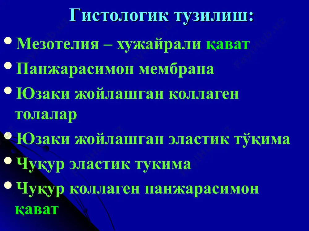 дромларнинг ривожланиши: энса мушакларининг ригидлиги кернинг симптоми брудзинский симптоми давоми неврологик симптоматика – iii, vi, vii, viii, ix, x ва xi жуфт нервлар зараланади: ютиш қийинлашади қалқиб кетиш афония дизартрия хиқичоқ нафас олиш ва пульс ритмини бузилиши глоссоплегия давоми iii давр – терминал. менингоэнцефалит – ўчоқли симптомлар: пирамидал белгилар, парез ва параличлар – пастки монопарез, парапарезлар васкулит ва тошмали бўртмачалар эндоартериит ва бош мия томирларини тромбози ишемик инсульт ривожланиши давоми 3-хафта охирида сувсизланиш ётоқ яралар нафас, қон томир хамда харакат марказлари параличи базиляр сил менингити макропрепарати спинал менингит: касалликнинг 2-хафта охирларида жараён орқа мия пардаларига ўтади: белбоғсимон оғриқ илдизсимон оғриқлар оғриқлар умуртқа поғонаси бўйлаб улар ликвор йўлларининг тўсилишидан илгари бошланади. давоми ликворни тўсилиш белгилари: ксантохромли ликвор оқсил-хужайра диссоциацияси: плеоцитозда кўп миқдорда оқсил мавжуд 1 мкл ликворда 60 – 80 хужайра. давоми илдизли симтоматика устунлигида: пастки парапарезлар тос аъзолари функциясининг бузулиши: сийдикнинг тутилиши ёки ушлай олмаслик дефекацияни қийинлашиши оёқдаги рефлекслар кучайган …