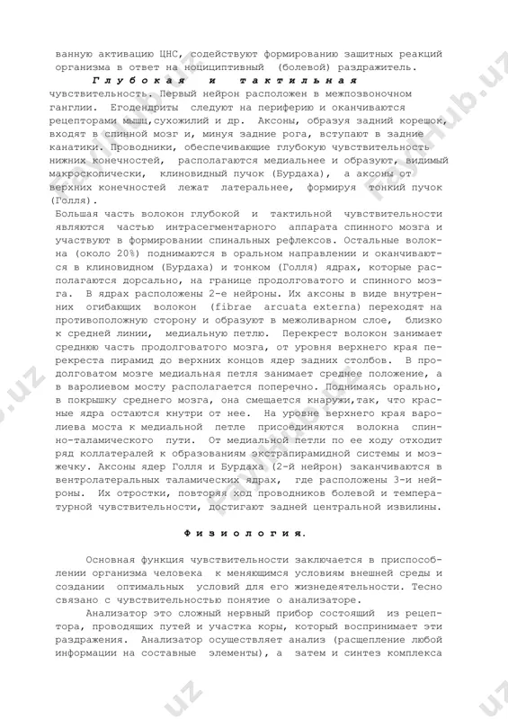 образуя таламокортикальный путь (trac- tus thalamocorticalis), проходят через заднюю треть заднего бе- дра внутренней капсулы, лучистое сияние и оканчиваются в задней центральной извилине. в задней центральной извилине, как и в двигательной коре, различные участки тела имеют неравное пред- ставительство, в зависимости от сложности выполняемой функции. наибольшую площадь занимают нейроны, воспринимающие сенсорную информацию от кисти, ее пальцев, языка и лица. в клинической практике следует учитывать,что составе спин- но-таламического пучка проходит часть проводников тактильной чувствительности. исследования последних лет показали, что в проведении бо- левых импульсов, помимо классического лемнискового, участвуют, так называемые, экстралемнисковые пути. начинаясь от нейронов v-viii слоев рекседа, эти пути следуют в медиальные таламичес- кие ядра. в отличие от классических проводников, экстралемнис- ковые пути не имеют строгих очертаний и отдают большое количес- тво коллатералей к ретикулярной формации и другим образованиям мозгового ствола. функция этих путей заключается в обеспечении генерализованных форм ощущения, без тонкой дифференцировки раз- дражителей по их модальности и локализации. …