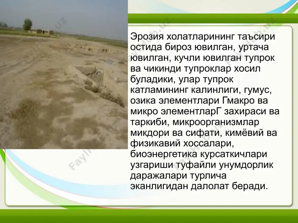 агротехник, ўрмон-мелиоратив тадбирлар қўллаш мумкин бўлмаган жойларда ёки улар яхши кутилган натижа бермайдиган вақтда қўлланилади. гидротехник тадбирларга қуйидаги тадбирлар киради: а) қирғоқларни мустаҳкамлаш ишлари; б) селлардан ҳимоя қилиш тадбирлари; в) ирригация тармоқларини қайта қуриш ва уларни эрозиядан асраш иншоотларини яратиш. тупроқ эрозиясига қарши курашишда суғориш техникасини тўғри ташкил этиш катта аҳамиятга эга бўлиб, унинг ўзи ҳам ирригация тармоқларининг ҳолатига ҳамда карталарнинг текислигига (планировкасига) боғлиқдир. ҳозирги кунда 2,5 минг км дан ортиқ каналлар қайта тикланишга муҳтождир. чўллашишга қарши курашишнинг муҳим омилларидан бири ташкилий хўжалик ва агротехник тадбирлар ҳисобланади. булар тупроқнинг юза қатламининг емирилиши (бузилиши)ни тўхтатишга қаратилган бўлиб, эрозияга учраган ерларнинг унумдорлини ошириши мумкин. эрозияга учраган ерларда қишлоқ хўжалик экинларини экишнинг агротехник таркибий қисмини ҳам шулар ташкил этади. ана шу тадбирлар орасида муҳим ўринни алмашлаб экиш эгаллайди. кучли эрозияга учраган суғориладиган ерларда ва ўртача ва кучли шамоллар таъсири остида бўлган ерларда вегетация даври узоқ чўзиладиган экинлардан ташкил топган алмашлаб экиш яхши натижа …