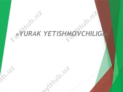 yurak yetishmovchiligi — PPTX