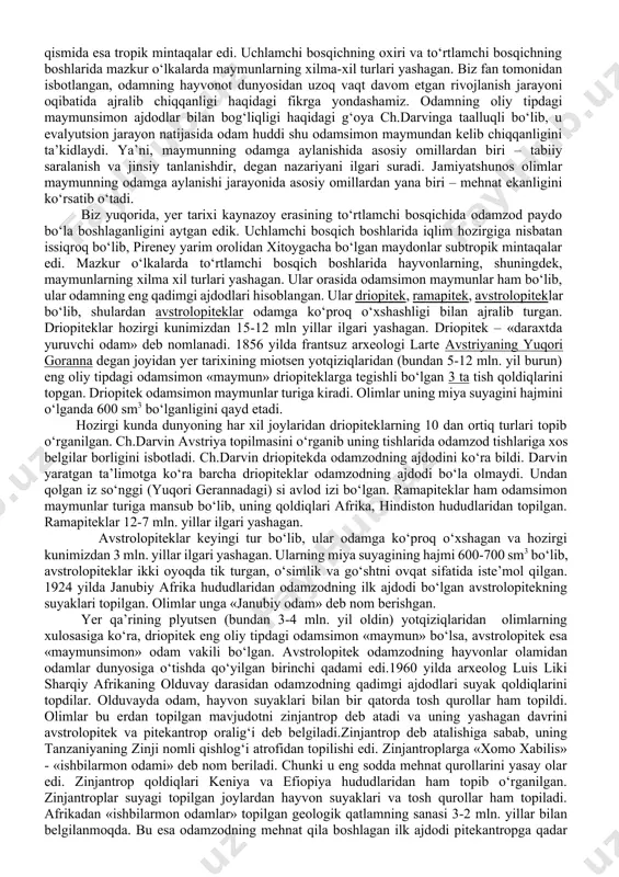 b, odamlar miloddan 100-40 ming yillar ilgari yashaganlar va asosan termachilik hamda ovchilik bilan shug‘ullanganlar. ko‘buloq joy-makoni ohangaron daryosining o‘ng irmog‘idan biri – qizil olma soyining o‘rta oqimida, angren shahridan 10-12 km g‘arbda joylashgan obliq qishlog‘idan 5 km shimoli-g‘arbda joylashgan. bu yodgorlik ko‘p qatlamli bo‘lib, unda arxantroplar, neandertallar va kramonyonlar yashashgan. ko‘lbuloq 41 ta qatlamdan iborat bo‘lib, 4-8 qatlamlari mustye davriga taalluqlidir. qo‘tirbuloq makoni samarqand viloyati, kattaqo‘rg‘on tumanidagi charxin qishlog‘idan 700-800 m uzoqda joylashgan ochiq manzilgohdir. bu yerdan ko‘plab paykonlar, qirg‘ichlar, chopping, chopper, yassi nukleuslar, fil, tur, bug‘u, yovvoyi ot, buxoro bug‘usi suyagi qoldiqlari, gulxan va kul qoldiqlari topilgan. mustye davriga oid yodgorliklarda olb borilgan tadqiqotlar shuni ko‘rsatdiki, mustye neandertallari g‘orlarda ham, ulkan mamont suyaklaridan qilingan turar joy – chumalarda ham yashaganlar. mazkur davrda odamlar olovni saqlabgina qolmay, balki yog‘ochni bir-biriga ishqalash yo‘li bilan yoki chaqmoqtoshni bir-biriga urish natijasida olov hosil qilishgan. o‘rta paleolit davri odamlarining asosiy mashg‘uloti mamont, bison, …