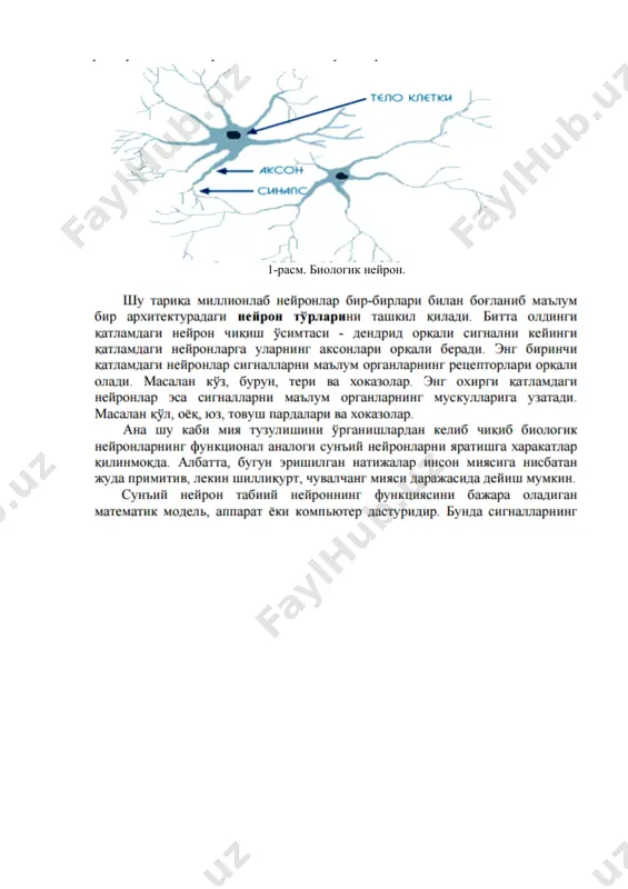 sun'iy neyron tarmoqlariga kirish - Page 3