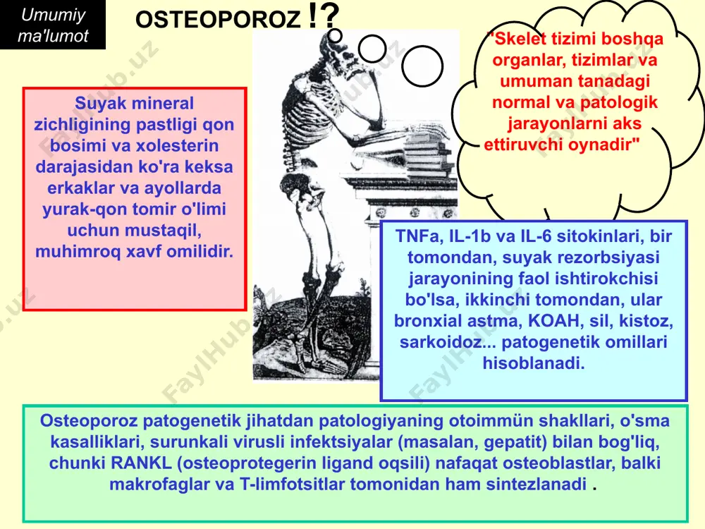 itlar asosiy funktsiya osteoklastlar - lizosomal fermentlar (asosiy ferment - kislota fosfataza ) va organik kislotalar yordamida suyak to'qimalarining rezorbsiyasi . asosiy funktsiya osteoblastlar - organik matritsa oqsillarining sintezi, unda mineral moddalar to'planadi. asosiy ferment ishqoriy fosfatazadir. osteotsitlarning asosiy vazifasi ozuqa moddalari va minerallarni tashishdir. bundan tashqari, osteotsitlar kollagenazni ajratib turadi, bu esa suyak matritsasini buzadi, mikro-bo'shliqlarni hosil qiladi. (elektron diffraktsiya naqshlarini skanerlash) osteoklast osteoblast faollashtirish blok faollashtirish rank- vositachi yadro omili kappa b [ nfkb ning faollashuvi; proinflamatuar sitokin genlarining transkripsiya omili ] osteoklast prekursor hujayralarida. umumiy ma'lumot suyak to'qimasini qayta qurish jarayonida rankl-rank-opg tizimi osteoblast rankl - ligand ; differensial osteoklast paratiroid gormoni osteoprotegerin (suyakni himoya qilish; opg ) osteoklastni suyak yuzasiga mahkamlash; ixtisoslashgan sitoskeleton, so'ngra izolyatsiya qilingan rezorbsiya bo'shlig'ining shakllanishi ( bu jarayonlarning barchasi osteolizni ta'minlaydi ). integrin-avb3, cd 44 (gialuron kislotasi retseptorlari) malumot sintez osteoprotegerin - tnf oilasidan sitokin; har xil turdagi hujayralar tomonidan sintezlanadi; genetik …