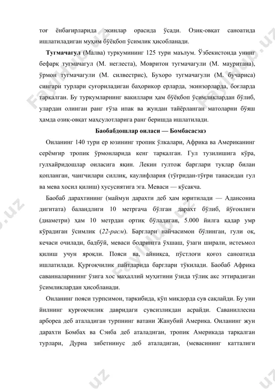 ик америкада тарқалган турлари, дуриа зибетнинус деб аталадиган, (мевасининг катталиги ҳандалакка тенг) қимматбаҳо резавор мева, ҳиндистон ва жанубий шарқий осиёда кенг тарқалган турлари ҳам маълум. шоколадгулдошлар оиласи — стерcулиаcэаэ бу оиланинг 50 туркумига мансуб 600 тури, асосан, тропик иқлимли минтақада тарқалган дарахт ўсимлиги. оиланинг жанубий ва марказий америка ҳамда мексикада тарқалган 15 га яқин ўсимлик турини ўзида бирлаштирувчи тҳеоброна туркуми тавсифга лойиқ. уларнинг аксарият қисми доимий яшил, серёмғир тропик ўрмонларда ўсадиган, унча баланд бўлмаган дарахт. туркумнинг характерли вакили шоколад дарахти (тҳ. cаcао) баландлиги 3-5 м келадиган тик ўсувчи дарахт. барглари бутун, узунлиги 20-40 см, эни 7-15 см. гуллари ва шунга кўра, меваси ҳам пояда гул тўпламларида жойлашган, диаметри 1,5 см, қўш жинсли. тугунчаси 5 хонали. меваси пояда 5-8 қатордан бўлиб жойлашган, узунчоқ, овал шаклли, яланғоч, узунлиги 30 см, эни 10 см гача, ўткир учли, қалин пўстли. уруғи ҳар бир хонада 5-12 тадан, жами мевада 25 тадан 60 тага қадар, тухумсимон …