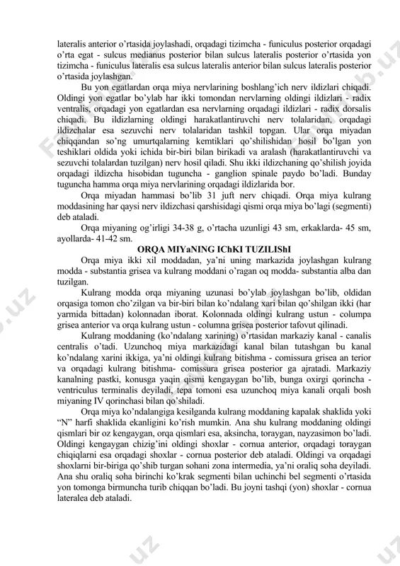 sirot (qo’zg’alish) qabul qiladi: 1. ekstroseptiv soha- tashqi tomondan teri yuzasi orqali olinadigan ta’sirot. 2. introseptiv soha - bunda asosan ichki a’zolarda hosil bo’ladigan kimyoviy moddalar qo’zg’alish ta’sirini beradi. 3. proprioseitiv soha - bunga maxsus reseptorlar vositasida tananing chuqur qismlari orqali qabul qilinadigan qo’zg’alishlarni yaratuvchi a’zolar (suyaklar, muskullar va hokazo) kiradi. orqa miya - medulla spinalisorqa miyaning tashqi tuzilishi orqa miya orqa va old tomonga biroz yassilangan kavak (nay) ga (silindr shakliga) o’xshagan bo’lib, umurtqa pog’onasining kanali ichida joylashgan. shuning uchun umurtqa pog’onasining bo’yin, ko’krak qiyshaymalarini (oldinga va orqaga) takrorlaydi. orqa miyaning ustki uchi katta ensa teshigi orqali uzunchoq miyaga o’tadi, pastki uchi esa tobora toraya borib, konus shaklida tugaydi. bu joyni conus medullaris deyiladi. shu konusning pastga qaragan uchidan ingichka tola ketadi, bunga oxirgi ip - filum terminale deyiladi, katta odamlarda bu ipning uzunligi 15 sm bo’ladi. oxirgi ip ikkinchi dum umurtqasi qarshisida, shu umurtqani ichidan qoplovchi pardada tugaydi. …
