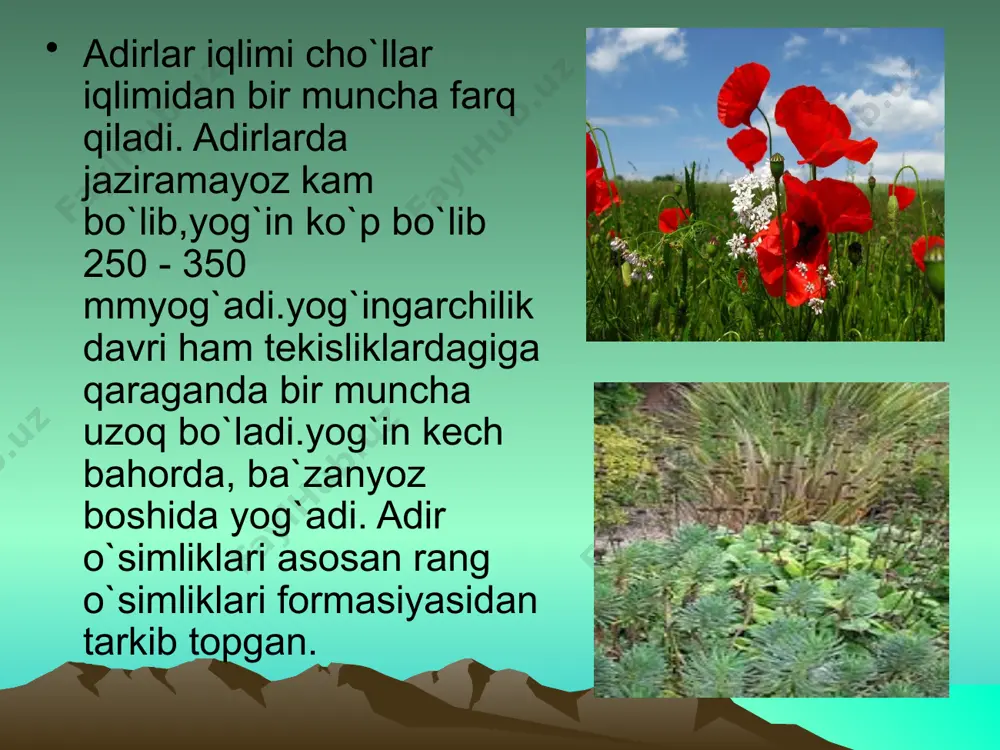 o’rta osiyo o’simliklari - tog’li va tekislik qismi misolida - Page 5
