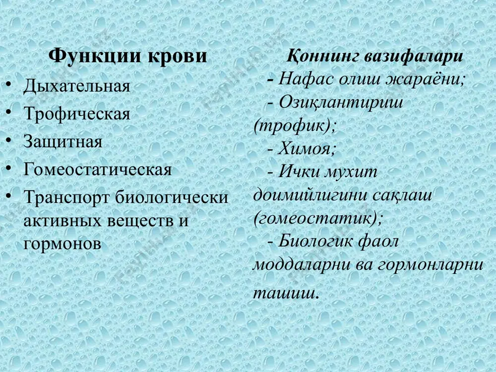 , фторланган водород, олтингугуртли ангидрид, тринитротолуол, гидрохинон. 3.дори воситалари таъсирида: сульфаниламидлар, олтин препаратлари, висмут, симоб, маргимуш, цитостатиклар, носпецифик яллиғланишга қарши воситалар, антибиотиклар (левомицетин),тиреостатиклар, антиспазмалитик. 4.радиоцион нурланиш. 5.оит нинг сурункали яллиғланишларида: (гастрит, холангит, ошқозон ва 12 бармоқ ичак яраларида) 6.овқатланиш бузилганда: алиментар дистрофия, аминокислота ва витаминлар етарли миқдорда тушмаганда. 7.қон касалликларида (апластик анемия, алейкемик ва лекопеник лейкоз.) 8.гиперспленизм. 9.эндокрин касалликларда (акромегалия, микседема, аддисон касаллиги). 10.коллагенозларда. 11.невроз,шок, коллапс. непролиферирующий пул гранулоцитов (пролиферацияланмайдиган гранулоцитлар йиғиндиси) палочкоядерные нейтрофилы (таекча ядроли нейтрофиллар) непролиферирующий пул гранулоцитов (пролиферацияланмайдиган гранулоцитлар йиғиндиси) сегментоядерные нейтрофилы (сегмент ядроли нейтрофиллар) нейтрофилы (н.) 47-72% от общего количества лейкоцитов размер в мазке крови – 12 мкм диаметр мигрирующего н. в ткани до 20 мкм образуются в красном костном мозге (ккм) продолжительность жизни – 8 суток нейтрофиллар (н.) умумий лейкоцитларнинг 47-72% ини ташкил қилади. қон суртмасидаги ўлчами – 12 мкм тўқимада кўчиб юрувчи н.ўлчами - 20 мкм қизил суяк кўмигида хосил бўлади. хаёт давомийлиги – …