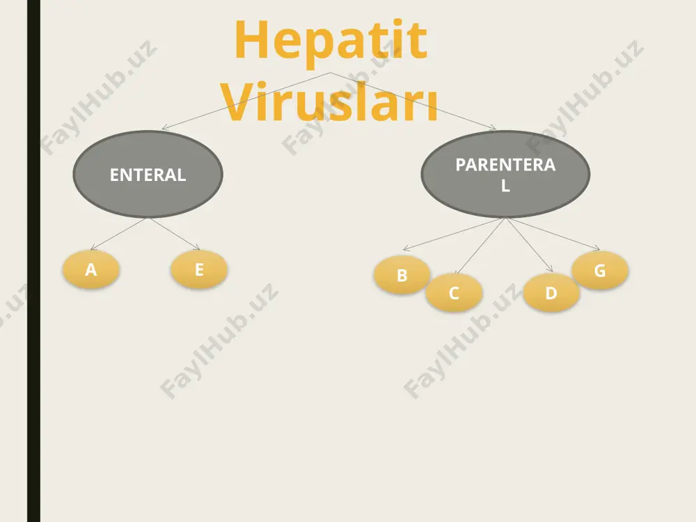 antigeni» adlandırılmışdır. hbsantigenlərinin qanda olması bhv ilə yoluxmanı göstərir. hbs-antigenin əmələ gəlməsində qrup spesifik a antigeni və iki cüt xüsusi subdeterminantlar – d/y və w/r iştirak edir. beləlixlə, hbs antigenin 4 antigen fenotipi (adw, ayw, adr, ayr) mövcuddur ki, müxtəlif coğrafı zonalarda müxtəlif fenotiplər yayılmışdır. məsələn, adw abş-da dominant subtipdir. özək hissədə yerləşmiş hbc-antigen qanda sərbəst vəziyyətdə heç vaxt təsadüf edilmir. onu virusla yoluxmuş hepatositlərdə aşkar etmək olar. hbe-antigen özək antigeni olmaqla hbc–antigenin törəməsidir. hbe-antigenlərinin qanda olması virusun hepatositlərdə replixasiyasml göstərir. virusun daha bir antigeni hbx-antigen – şiş transformasiyasma uğramış hepatositlərdə və qanda aşkar edilir. bu antigen şiş supressiyaedici p53 zülalını neytrallaşdıraraq qaraciyərin ilkin xərçənginin inkişafına səbəb olur. bhv reproduksiyasının bəzi mərhələləri kifayət qədər öyrənilməmişdir. hbs-antigen vasitəsilə hepatositlərə adsorbsiya olunduqdan sonra endositoz yolla hüceyrəyə daxil olur. qişalardan azad olmuş virus dnt–si polimeraza fermenti ilə birlikdə hepatositin nüvəsinə daxil olur, burada hüceyrə mənşəli naməlum ferment vasitəsilə genom dnt-nin natamam müsbət zənciri …