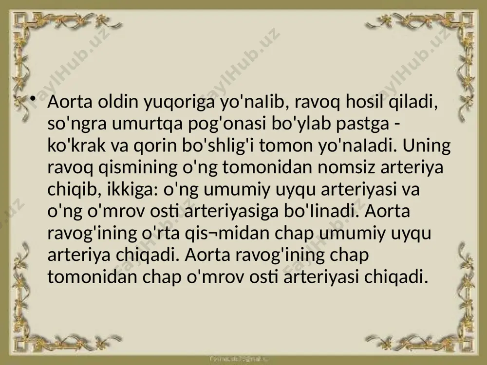 o`mrov osti, qo`ltiq, yelka, bilak sohasi arteriyalarining taraqqiyoti - Page 4