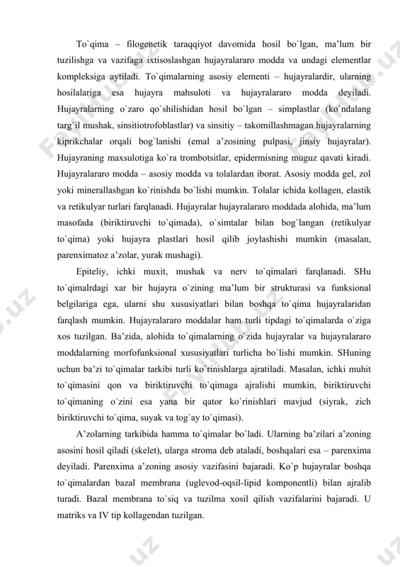 ularning ba’zilari a’zoning asosini hosil qiladi (skelet), ularga stroma deb ataladi, boshqalari esa – parenxima deyiladi. parenxima a’zoning asosiy vazifasini bajaradi. ko`p hujayralar boshqa to`qimalardan bazal membrana (uglevod-oqsil-lipid komponentli) bilan ajralib turadi. bazal membrana to`siq va tuzilma xosil qilish vazifalarini bajaradi. u matriks va iv tip kollagendan tuzilgan. to`qimalar tasnifi. to`qimalarni 4-5 xilga bo`lish juda nisbiy. asosiy ko`rsatgichi bo`lib uchta homila varag`idan kelib chiqishi emas, balki ularning tuzilishi va vazifasi xizmat qiladi. ma’lum bo`lishicha, ko`plab qoplovchi to`qimalar ektoderma va entodermadan, ba’zilari mezodermadan rivojlanadi. biriktiruvchi to`qima mezodermadan, mushak to`qimasi xam mezodermadan, faqat ma’lum qismi ektodermadan hosil bo`ladi. a’zolarda bir necha xil to`qimalar mujassamlashgan. masalan, mushak to`qimasi biriktiruvchi to`qima bilan aralash. nerv to`qimasida ham biriktiruvchi to`qima ishtirok etadi. shunday qilib, xozirgi paytda to`qimalarning nisbiy tasnifi qabul qilingan. to`qimalarning rivojlanishi va shakllanishi qaysi yo`l bilan va qanday borishi haqidagi tushunchani xlopin n.g. yaxshi ta’rifini bergan (divergent rivojlanish konsepsiyasi). epiteliy to`qimasi. umumiy tavsif. epiteliy …