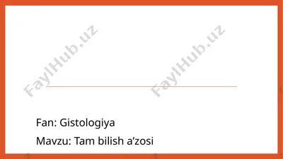 tam bilish a’zosi — PPTX