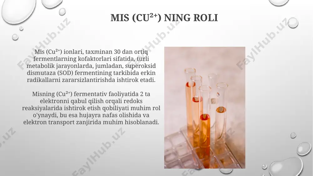 h qobiliyatini ta'minlaydi va organizmning kislorod bilan ta'minlanishini 10¹⁴ darajasida saqlaydi. fe²⁺ sitoxromlarning faol markazida bo'lib, elektronlarni tashish zanjirlarida ishtirok etadi va hujayra nafas olishining 36-38 atp molekulasini hosil qilish jarayoniga bevosita ta'sir qiladi. sink (zn²⁺) ning roli zn²⁺ ionlari hujayra membranasining barqarorligi va o'tkazuvchanligini tartibga solishda ishtirok etadi, bu esa hujayra ichidagi ionlar muvozanatini saqlashga yordam beradi va 10 nm dan kichik bo'lgan kanallarni tartibga soladi. sink (zn²⁺) ionining 300 dan ortiq fermentlarning faol markazida koenzim sifatida ishtirok etishi, ularning katalitik faolligini ta’minlashda muhim rol o’ynashi ma’lum. 1-guruh kationlarining biologik ahamiyati 1-guruh kationlari, ya'ni ishqoriy metallar (li+, na+, k+, rb+, cs+), hujayra membranalari bo'ylab ionlar transportini tartibga solishda muhim rol o'ynaydi, bu esa asab impulslarining o'tkazilishini va mushaklarning qisqarishini ta'minlaydi. kaltsiy (ca2+), 2-guruh elementi bo'lsa-da, mushaklarning qisqarishi, qon ivish jarayoni va suyaklarning mineralizatsiyasi kabi muhim biologik jarayonlarda ishtirok etadi, 1-guruh kationlari bilan ko'plab funksiyalarda birgalikda ishlaydi. 3-guruh kationlarining biologik …
