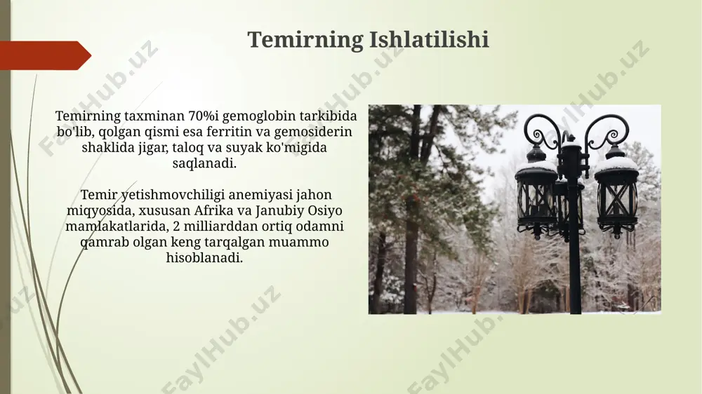 organizmda temir almashinuvi - Page 4