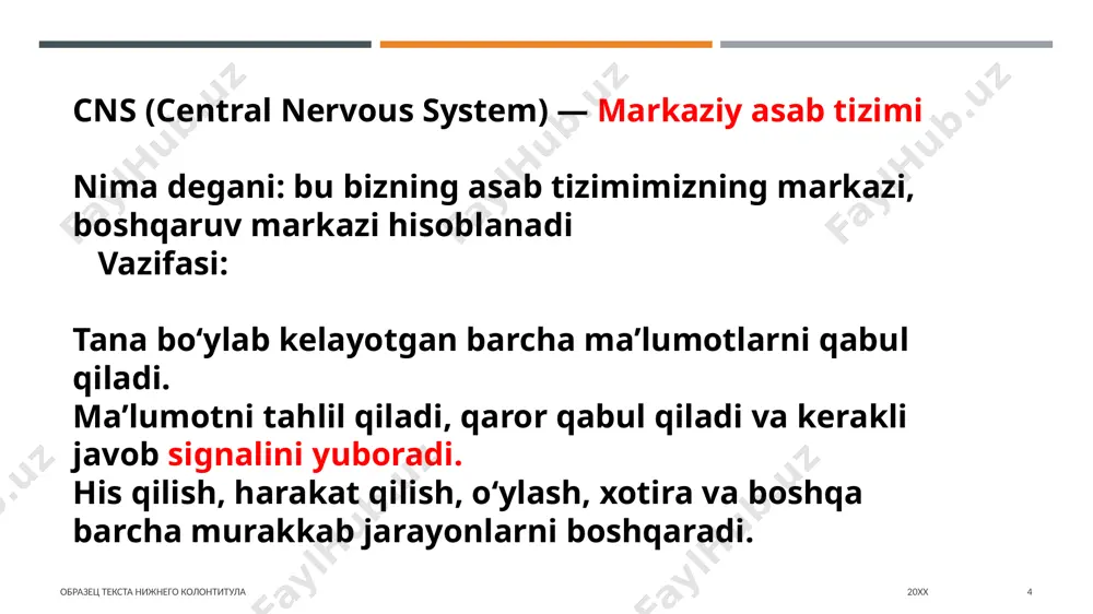 hdan hissiy ma'lumotlarni markaziy asab tizimiga yuboradilar. 20xx 14 (emg), - elektromiyogramma (emg), bu yuqori harakatchanligi bilan ajralib turadi. bundan tashqari, yuzning mushaklaridan yozib olingan ba'zi bir aniq emg naqshlariga ko'ra, turli xil hissiy holatlarni yuqori aniqlik bilan aniqlash mumkin. ko'z harakatlarini ro'yxatdan o'tkazish (okulogramma) ergonomikada qo'llaniladi образец текста нижнего колонтитула 20xx 15 miyadan kelib chiqadigan 12 juft kranial asab mavjud va ular sensorli ma'lumotlarni tashish, ba'zi mushaklarni boshqarish va ba'zi ichki bezlar va organlarni boshqarish uchun javobgardir. i. xushbo'y asab tizimi. u hidni sezuvchi ma'lumotni qabul qiladi va uni miyada joylashgan hid markaziga yetkazib beradi. ii. optik asab tizimi. u vizual hissiy ma'lumotni oladi va uni xiyazma(ko‘rish nervlarining kesishadigannuqtasi) orqali o'tib, optik asab yo’li orqali miya ko'rish markazlariga yetkazadi. 16 iii. ichki ko'z motor nervi. u ko'z harakatlarini boshqarish va qorachiqning kengayishi va qisqarishini tartibga solish uchun javobgardir. iv. troxlear asab tizimi. u ko'z harakatlarini boshqarish uchun javobgardir. v. …
