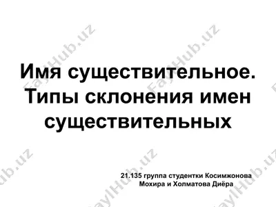 имя существительное. типы склонения имен существительных — PPTX