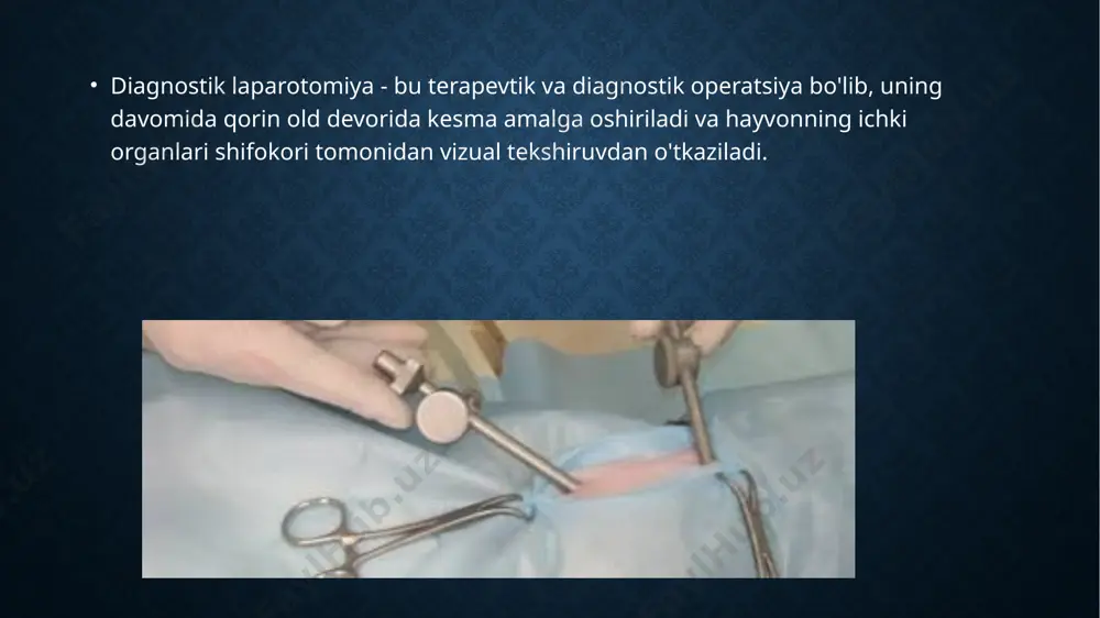 da tuzatadi, qorin bo'shlig'idan sochlarni olib tashlaydi va terini antiseptik vositalar bilan davolang. shundan so'ng, qorin bo'shlig'ini vizual tekshirish uchun etarli darajada kesma qilinadi. veterinariya shifokori ichki organlarning holatini baholaydi va agar kerak bo'lsa, zararni yopadi yoki o'simtani olib tashlaydi. o'smalarning zarralari, shuningdek, efüzyon, odatda tahlil qilish uchun laboratoriyaga yuboriladi. bu aniqlangan buzilishlarning tabiatini aniqroq aniqlash va keyingi terapiya uchun maqbul rejani tuzish imkonini beradi. diagnostik laparotomiya yopiq tikuv va jarohatni yakuniy davolash bilan yakunlanadi. shu bilan birga, operatsiyadan keyingi davrda qon ketishining oldini olish uchun shifokor qon tomirlarining koagulyatsiyasi sifatini nazorat qiladi. qayta tiklash davri eksplorativ laparotomiyadan so'ng tiklanish davrida hayvon yarani yalash va tirnash xususiyati beruvchi adyol kiyishi kerak. qoida tariqasida, u dastlabki 1-2 kunni klinikada mutaxassislar nazorati ostida o'tkazadi, keyin egasi uy hayvonini kuzatishi kerak. aralashuvdan keyingi birinchi kuni oziq-ovqat butunlay chiqarib tashlanadi, ikkinchi kuni shilimshiq sho'rvalar beriladi; ratsion 4-5 kun ichida tiklanadi. 8-10 kundan keyin tikuvlarni …
