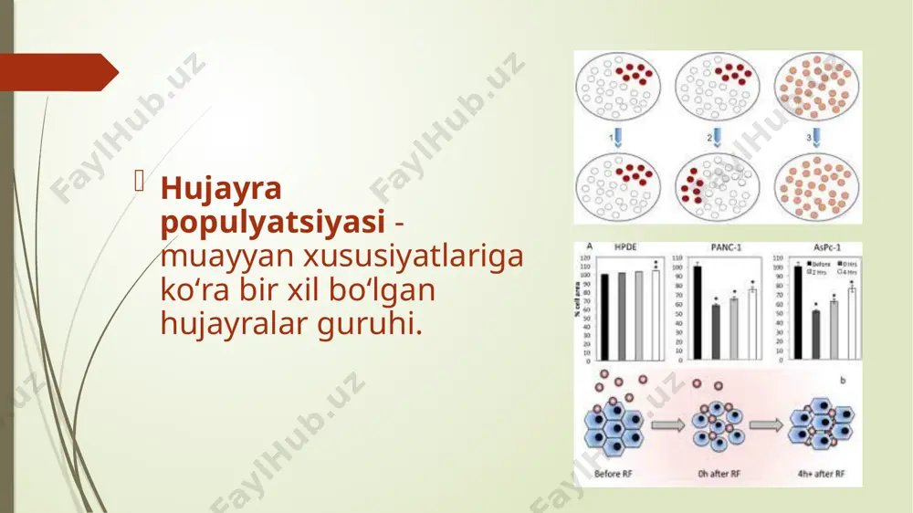 rmal holatda bo’lgandagina inson organizmi uchun foydali. apoptoz jarayoni tufayli organizmda yosh, yangi hujayralar faoliyat yuritadi va albatta erta qarilikni oldini oladi va organizmning yosharishiga sabab bo’ladi. kengroq qilib aytganda, koʻp hujayrali organizmlarda hujayra oʻlimining ikki xil shakli bor: ular oʻzlariga zarar keltiruvchi (fizik yoki kimyoviy) taʼsir natijasida nobud boʻladi va bu jarayon nekroz deb ataladi. ular rejalashtirilgan oʻlimga berilgan turtki natijasida nobud boʻladi. bu oʻlimning eng yaxshi oʻrganilgan shakli apoptozdir. nekroz va apoptoz turli vaziyatlarda sodir boʻladi va turli bosqichlarni oʻz ichiga oladi. oddiyroq qilib aytganda, nekroz tartibsiz jarayon boʻlib, yalligʻlanish natijasida immun javobni keltirib chiqaradi. apoptoz esa toza va tartibli jarayon va u hujayralarni kichik boʻlaklarga boʻlib, boshqa hujayralar tomonidan qayta ishlanishi uchun qulay holatga keltiradi. nekroz (tartibsiz jarayon) hujayralar zararli omillar (shikastlanish yoki zararli toksik moddalar) taʼsiriga uchraganida, nobud boʻlishdan oldin hujayra ichi tarkibiy qismlarini “toʻkib tashlaydi”. zararlangan hujayraning plazma membranasi endi ionlar va suvning oʻtishini nazorat …