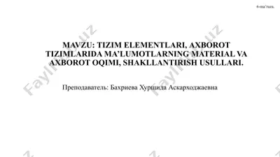 tizim elementlari va axborot oqimlari — PPTX