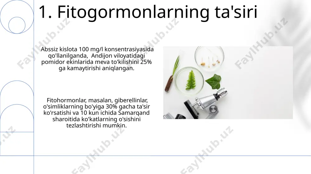 sini kamaytirishda muhim rol o'ynaydi. 10. abssiz kislota aba ning bir qator o'simlik turlarida, xususan, cho'l mintaqalarida o'sadigan 50 dan ortiq turdagi o'simliklarda suv tanqisligiga chidamlilik mexanizmlarini faollashtirishda muhim ahamiyati borligi aniqlangan. abssiz kislota (aba) o'simliklarning suv stressini boshqarishida muhim rol o'ynaydi, uning konsentratsiyasi 10-100 ng/g gacha yetishi mumkin va bu jarayonlarni kaliforniya universiteti olimlari tomonidan batafsil o'rganilgan. 11.fitogormonlarning amaliy qo'llanilishi hindiston va xitoyda 100 ga yaqin turdagi meva va sabzavot ekinlarining pishishini tezlashtirish va sifatini yaxshilashda etilen gazidan foydalaniladi. 60 dan ortiq mamlakatda o'simliklarning stressga chidamliligini oshirishda absisik kislota antagonistlari qo'llanilmoqda, bu esa hosildorlikni 15-20% ga ko'tarishga yordam beradi. 12.fitogormonlarning transportlanishi sitokininlar esa, asosan, ildizdan kurtakka, 5-10 mm/soat tezlikda, xloroplastlarda sintezlanib, yerning shimoliy yarim shari o'simliklarida biroz sekinroq harakatlanadi. fitogormonlar, masalan, auksinlar, o'simlik tanasida floema orqali 100 mm/soat tezlikda, kambodja kabi tropik hududlardagi o'simliklarda esa tezroq harakatlanishi mumkin. 13.etilen etilen g'o'za poyalarining 10-15 sm balandlikda bo'g'ilishini va 20°c haroratda …