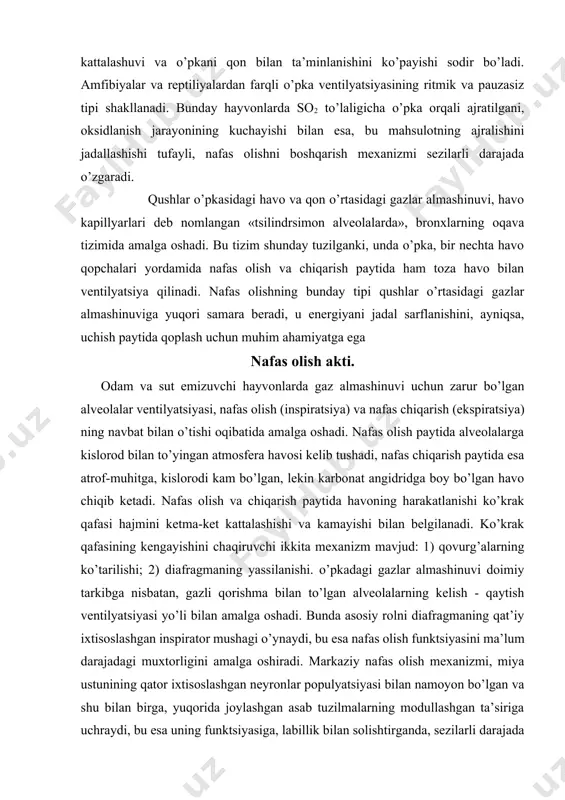 ng hajmini mos ravishda kattalashuvi va kichiklashuviga yordam beradi. inspiratorli mushak sifatida asosan diafragma mushagi xizmat qiladi. tinch holatda nafas olish paytida, o’pka ventilyatsiyasining barcha hajmini, amalda diafragma ta’minlaydi. nafas olish paytida, diafragma mushak tolalarining qisqarishi, uning ikkala qismini (gumbazini) yassilanishiga olib keladi. qorin bo’shlig’i chekinadi va ko’krak qafasi ko’ndalang yo’nalishda kattalashadi, uning asosi esa, kaudal qovurg’alarning ko’tarilishi hisobiga kengayadi. diafragma boshqa inspirator mushak, ya’ni tashqi qovurg’alararo mushaklar bilan sinergik ishlaydi. normal sharoitda ekspirator mushaklar vazifasini faqat ichki mushaklar o’ynaydi. bu mushaklarning tolalari qisqargan paytda, yuqorida joylashgan qovurg’a pastda joylashgan qovurg’a tomon tortiladi va ko’krak qafasi pastroq tushadi. nafas chiqarish uchun juda rivojlangan mushaklar zarur emas, chunki u, boshqa qo’shimcha kuchlar ta’sirida amalga oshiriladi. bular bilan bir qatorda, nafas olish apparati faoliyatini kuchaytirish uchun yordamchi inspirator va yordamchi ekspirator mushaklar ham qo’shiladi. yordamchi inspirator mushaklarga, qovurg’alarni ko’tarish qobiliyatiga ega bo’lgan, elka sohasi, kalla suyagi va umurtqa pog’onasi suyaklari ulangan barcha …