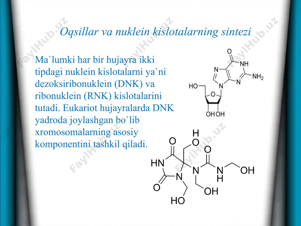 i bilan fosfat kislotasining dizoksiribozadagi 3`-5` holatida kovalent bog`langan nukleotidlar polimeridan iboratdir. dnk molekulasining ikkala zanjiri bir-biri bilan purin va pirimidin asoslarining ichkariga qaragan tomonlari hisobiga hosil buluvchi vodorod bog`lari bilan bog`langandir. translyatsiya jarayonining yo`nalishi va jadalligi asosan uchta omilga bog`liq bo`lishi mumkin: a) informatsion matritsalarning miqdori ya`ni maxsus mrnklar. maxsus rnklar miqdori esa ularning sinteziga, tashiluviga, saqlanishiga, faollanishiga va parchalanishiga bog`liqdir. translyatsiya apparatining boshqa komponentlarining mavjudligiga, ya`ni ribosomalar, trnk, aminokislotalar, atf, gtf, sintetazalarga, translyatsiya`ning ribosomalardan tashqarigi komponentlariga, regulyator oqsillarning mavjudligiga bog`liqdir. hujayraning fiziologik holati o`zgargan vaqtda yuqoridagi barcha omillarning miqdori kamayishi yoki birgalikda ko`payishi mumkin. model tajribalar asosida trnk miqdorining ko`pligi oqsil sintezlanishi jarayoniga salbiy ta`sir qilishi kuzatilgan. oqsil sintezlanishining kamayishi esa mrnk molekulasining yadrodan sitoplazmaga tashiluvini to`xtatadi. foydalaniladigan adabiyotlar: burigin v. a., jongurazov f. x. botanika. toshkent, “o‘qituvchi”, 1977. kursanov a. va boshqalar. botanika. toshkent o‘rta va oliy maktab davlat nashriyoti. 1963. mustafayev s. m. botanika. toshkent, “o‘zbekiston”, …