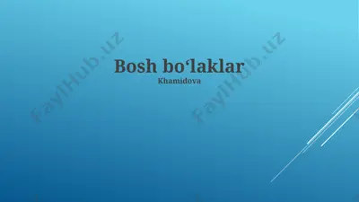 bo'laklar — PPTX