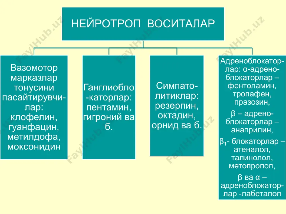 гипотензив моддалар фармакологияси - Page 4