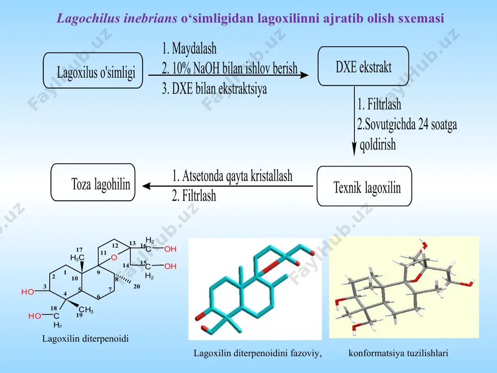 ot kolonkali xromatografiya usulida (silikagel, elyuent - efir:benzol 15:1) tozalab olindi. lagoxilin 2,18-15,16-o-diizopropilidenlagoxilin lagoxilin 2,18-o-monoizopropilidenlagoxilin monoizopropilidenlagoxilin olish.( mipl). 5 g lagoxilin 125 ml atsetonda eritib, 150 ml distillangan suv va 11-12 tomchi kons sulfat kislota tomizib ph=3-4 gacha olib boriladi, aralashmani ajratish voronkasiga solib, siklogeksan bilan 4 marta 100 mldan ekstraksiya qilinadi. siklogeksanli eritmalar birlashtirilib, 5 % natriy bikarbonat eritmasi bilan yuviladi. neytrallanadi va erituvchisi xaydab olinadi, qoldiq efir-benzol 15:1 tizimda silikagelli kolonkada ajratib olindi. 1,2.monoizopropiliden lagoxilinni kolonkali xromatogafiya usuli bilan tozalash. diametri 2 sm uzunligi 35 sm li kolonkaga 25 g silikagelni efir- benzol 15:1 tizimda kasha qilib solamiz, silikagel joyiga yaxshilab joylashguncha kolonkadan utgan tizimni qayta kolonkaga solib turamiz. monoizopropiliden lagoxilinni qoldig‘ini efir-benzol 15:1 tizimda aralashtirib kolonkaga solamiz. kolonkadan chiqqan fraksiyalarni 10 mldan bo‘lib-bo‘lib olamiz va xromotogafiya qilamiz bir xil rf qiymatli fraksiyalarni qushamiz erituvchilarni 3/2 qismini haydaymiz sovutgichga quyamiz oq kristall monoizopropiliden lagoxilin hosil bo‘ladi buni filtirlab …