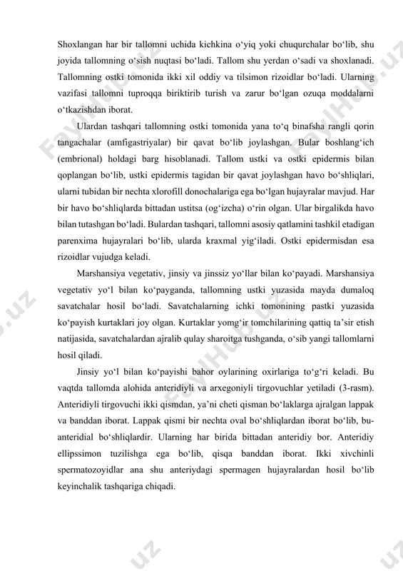 monida yana to‘q binafsha rangli qorin tangachalar (amfigastriyalar) bir qavat bo‘lib joylashgan. bular boshlang‘ich (embrional) holdagi barg hisoblanadi. tallom ustki va ostki epidermis bilan qoplangan bo‘lib, ustki epidermis tagidan bir qavat joylashgan havo bo‘shliqlari, ularni tubidan bir nechta xlorofill donochalariga ega bo‘lgan hujayralar mavjud. har bir havo bo‘shliqlarda bittadan ustitsa (og‘izcha) o‘rin olgan. ular birgalikda havo bilan tutashgan bo‘ladi. bulardan tashqari, tallomni asosiy qatlamini tashkil etadigan parenxima hujayralari bo‘lib, ularda kraxmal yig‘iladi. ostki epidermisdan esa rizoidlar vujudga keladi. marshansiya vegetativ, jinsiy va jinssiz yo‘llar bilan ko‘payadi. marshansiya vegetativ yo‘l bilan ko‘payganda, tallomning ustki yuzasida mayda dumaloq savatchalar hosil bo‘ladi. savatchalarning ichki tomonining pastki yuzasida ko‘payish kurtaklari joy olgan. kurtaklar yomg‘ir tomchilarining qattiq ta’sir etish natijasida, savatchalardan ajralib qulay sharoitga tushganda, o‘sib yangi tallomlarni hosil qiladi. jinsiy yo‘l bilan ko‘payishi bahor oylarining oxirlariga to‘g‘ri keladi. bu vaqtda tallomda alohida anteridiyli va arxegoniyli tirgovuchlar yetiladi (3-rasm). anteridiyli tirgovuchi ikki qismdan, ya’ni cheti …