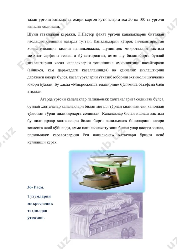 линган намунани тортиш билан битта капалакнинг ўртача оғирлиги аниқланади. капалаклар қутичага солингач, унинг қопқоғи тезда беркитилиб, унга партия номери, дурагайни номи, капалакни изоляция килинган куни ёзилади. қутичанинг қопқоғи ҳам худди шундай материаллардан ясалади ва унда ҳаво ўтиши учун тешикчалар қилинади (қоғозни тешиш машинада бажарилади). бундай қутичалардан фойдаланилганда ypyғ қолдириш бошланганидан 12-20 соат ўтгач, қутича очиладн, ҳамма капалаклар йиғилиб, эмульсия қилинмаган пергамент ёки ярим пергамент қоғоздан ясалган қутичага солинади, аммо унинг таги майда тешилган, бўйи ва эни қутичага нисбатан 1 см кичик бўлиши керак. шундай қилиб қутичадаги эмульсия қилинган қоғозда фақат биринчи суткада қолдирилган уруғлар бўлади. қолган ҳамма уруғлар эмульсия қилинмаган қутичада қолдирилади ва шу қоғозга яхши ёпиштирилган бўлади, бу уни биринчи суткада қолдирилган уруққа аралашиб кетишини олдини олади. қутичани капалаклар ва уруғ билан махсус тайёрланган сўриларга ёки уларни 6-10 тадан қилиб боғлаб изоляцион халтачалар солинган тўрлар осиладиган симларга илиб қўйилади. зичлаштирилгаи ҳолда капалакларни изоляция қилиш пебрина билан касалланган материални тўла …