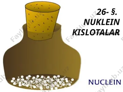 nuklein kislotalar. 9 - sinf — PPTX