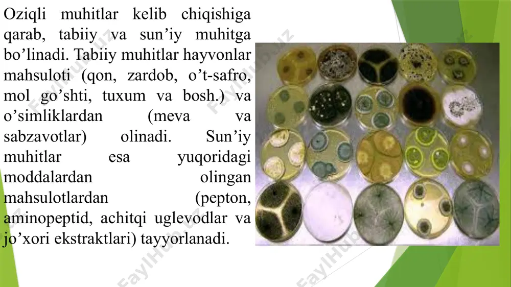 iq va suyuq oziqli muhitlarda, bir turga mansub bir yoki bir necha xujayralardan tashkil topgan mikroblar yigʼindisi sof xosila (undirilgan) deyiladi. selektiv ozuqalar: pepton buloni – ammonifikatorlar uchun vinogradskiy muhiti - nitrifikatorlar uchun giltay muhiti - denitrifikatorlar eshbi muhiti - erkin yashovchi azotfiksatorlar uchun rushman muhiti - moy kistlotali bakteriyalar uchun kletchatkani aerob parchalovchilar uchun - getchinson va kleyton muhiti e’tiboringiz uchun rahmat! image1.jpeg image2.jpeg image3.jpg image4.jpg image5.jpg image6.jpg image7.jpg image8.jpg