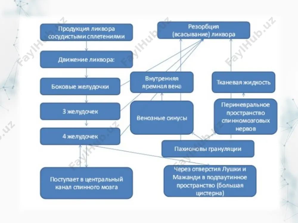 перитонеального катетера. последний захватывают зажимом и укладывают на диафрагмальную поверхность правой доли печени. проверяют функционирование шунта путем прокачивания помпы клапана. эндоскопическая вентрикулостомия клинический случай женщина, 21 год, поступила с жалобами на сонливость и спутанность сознания. за последние 5 месяцев она отмечала постепенное ухудшение состояния: усиление головных болей, тошноту и рвоту. офтальмоскопия показала билатеральный отек диска зрительного нерва. кт и мрт выявили супратенториальную гидроцефалию, вызванную стенозом водопровода мозга. сагиттальные снимки мрт, выполненные с контрастным веществом, показали острую недостаточность движения жидкости на уровне водопровода мозга. пациентке был поставлен диагноз: идиопатический стеноз водопровода, наиболее распространенный с сочетанием обструктивной гидроцефалией у взрослых. при эндоскопической вентрикулотомии было выполнено (рис.d) вскрытие дна 3 желудочка в субарахноидальном пространстве ствола головного мозга. все лечебные мероприятия прошли без осложнений, таких как менингит, тяжелая геморрагия, травмирование неврологических структур, нарушение циркуляции цереброспинальной жидкости, пневмоцефалии. у пациентки была хорошая ответная реакция на лечение с устранением неврологического дефекта. через 5 лет симптомы заболевания …
