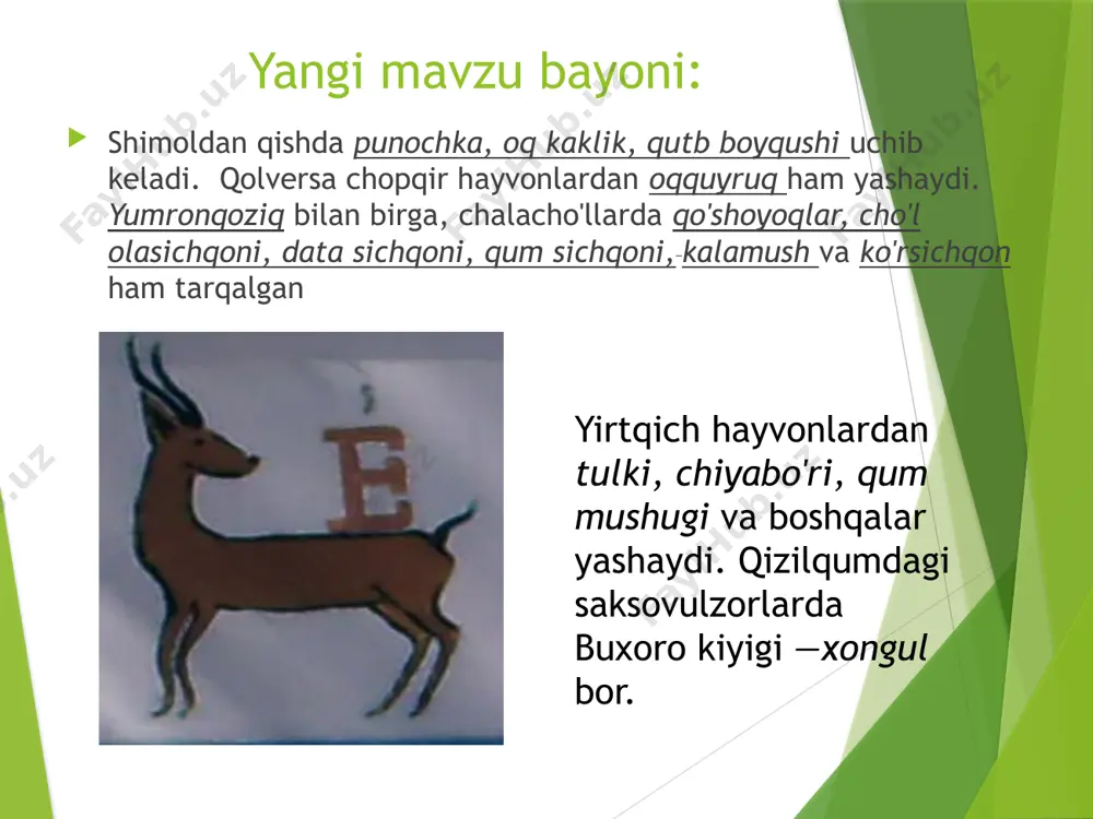 hayvonot dunyosi dars ishlanma - Page 4
