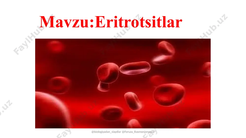 laydlar @feruza_raxmonjonovna @biologiyadan_slaydlar @feruza_raxmonjonovna yangi eritrotsitlar qizil ilikda hosil bo‘ladi. eritrotsitlar taloqda ham saqlanadi. to‘qimalarda qon kamayib ketganida taloqdan qonga kerakli miqdorda eritrotsitlar chiqariladi. eritrotsitlar yoki ulardagi gemoglobin miqdori kamayib ketishi kamqonlikka olib keladi. ko‘p qon yo‘qotish, to‘yib ovqat yemaslik, ay rim yuqumli kasalliklar ham kamqonlikka sabab bo'lishi mumkin, kamqonlikni davolash qonda gemoglobin miqdorini me’yorga keltirish bilan bog‘liq. buning uchun yaxshi ovqatlanish, dam olish va toza havoda ko'proq sayr qilish zarur. @biologiyadan_slaydlar @feruza_raxmonjonovna qon gnruhlari. 1901-yili k. landshteyner, 1907-yili y. yanskiy qonning eritrotsitlari tarkibida agglutinogen, plazmasi tarkibida agglutinin moddalari bo'lishini aniqladilar karl landshteyner yan yanskiy @biologiyadan_slaydlar @feruza_raxmonjonovna @biologiyadan_slaydlar @feruza_raxmonjonovna qon guruhlari qon berish mumkin qon qabul qilish mumkin i i, ii, iii, iv i ii ii, iv i,ii iii iii, iv iii iv iv iii, iii, iv @biologiyadan_slaydlar @feruza_raxmonjonovna @biologiyadan_slaydlar @feruza_raxmonjonovna @biologiyadan_slaydlar @feruza_raxmonjonovna dars jarayonidan lavxalar @biologiyadan_slaydlar @feruza_raxmonjonovna image1.jpeg image2.png image3.png image4.jpeg image5.png image6.png image7.png image8.png image9.png image10.png image11.png image12.png …