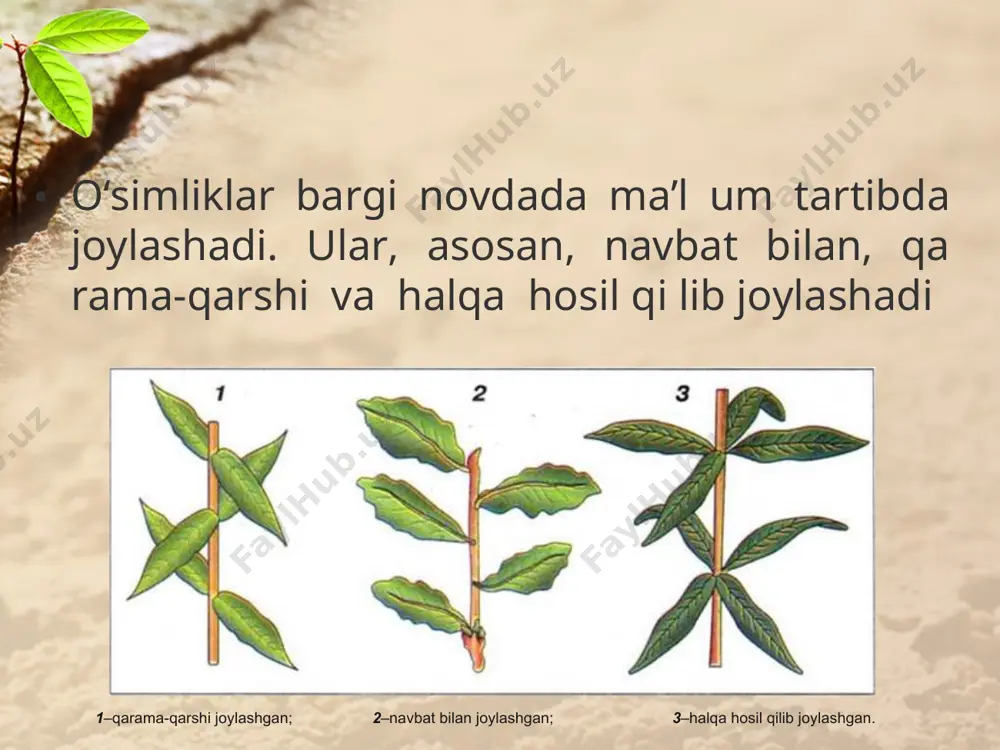 rini yozib oling. xonalarda o‘stiriladigan gullardan ikkitasini olib, deraza yoniga qo‘ying. ulardan bittasini har kuni qu yosh tushadigan tomonga qaratib aylantirib turing. ikkinchisiga tegmang. oradan bir necha kun o‘tgach ikkala gultuvakdagi o‘simliklarning barglari qanday holatda ekanligini taqq oslab ko‘ring. natijasini izohlab, yozib qo‘ying. *