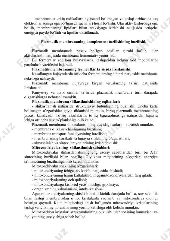 mitoxondriyalar morfologik va funksional o’zgarishga uchraydi va lizosomalarning ichidagi fermentlar, tashqarisiga chiqishi natijasida hujayra lizisga uchrab, erib ketadi. nobud bo’ladigan yoki shikastlangan hujayralarda quyidagi patologik o’zgarishlar kuzatiladi: - hujayralarda atf sintezi to’xtab kislorodga bo’lgan ehtiyoj oshadi; - yadroning strukturaviy o’zgarish natijasida xromatin kondensatsiyalanib, yadroda sintez jarayoni buziladi; - xromatinlar kondensatsiyasi natijasida yadroda agregatlar to’planishi ya’ni piknoz kuzatiladi. bu esa yadroning siqilishiga karioreksis ga olib keladi; - oqibatda yadroning erib ketishiga kariolizis ga olib keladi. yadro qobig’ida ro’y beradigan patologik o’zgarishlardan biri, bu perinuklear boshliqning kengayib ketishi natijasida, yadro membranalarining erib ketishiga olib keladi. plazmatik membrananing patologik buzilishiga qutidagilar sabab bo’ladi: - membranada erkin radikallarning (stabil bo’lmagan va tashqi orbitasida toq elektronlar soniga ega bo’lgan zarrachalar) hosil bo’lishi. ular aktiv kislorodga ega bo’lib, membrananing lipidlari bilan reaksiyaga kirishishi natijasida ortiqcha energiya paydo bo’ladi va lipidlar oksidlanadi. plazmatik membrananing komplement tuzilishining buzilishi. plazmatik membranada passiv bo’lgan oqsillar guruhi bo’lib, ular aktivlashishi natijasida …