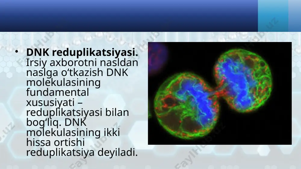 hujayra tiriklikning irsiy birligi. 10 - sinf - Page 5