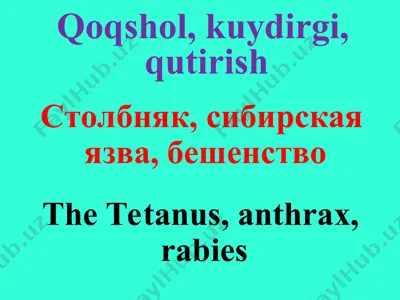 qoqshol, stolbnyak, beshenstvo — PPT